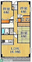 パラシオ