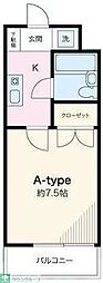 フラット75
