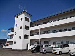 テルティウス田鶴原 203