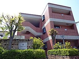 エクセルコート