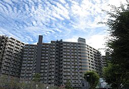 ダイアパレスビッグウィング深谷 735