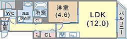 マグノリア・トアロード 204