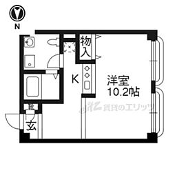 シチクハイネス 306