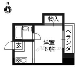 コットンハウス95 505