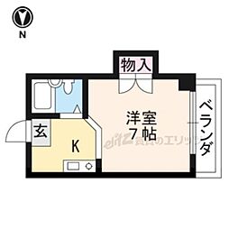 フローラルピンク 3-C
