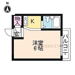 コットンハウス95 501