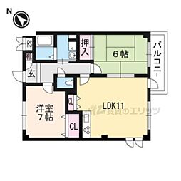 ブエナビスタ