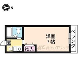 レヴァン朝日 302