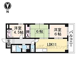 ロイヤル清涼 405