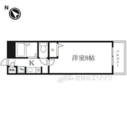 レイディアンス 206