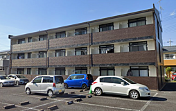 アムール ２０２