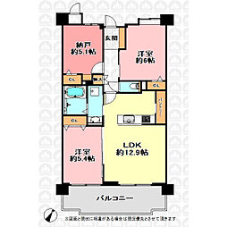 グリーンミユキ朝日