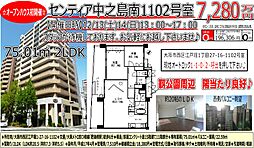 センティア中之島南