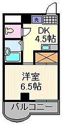 ハイムアルファ 505