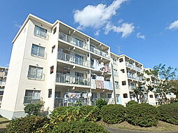 横浜市緑区長津田町