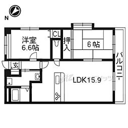 ルピナス・ヴィータ 0501