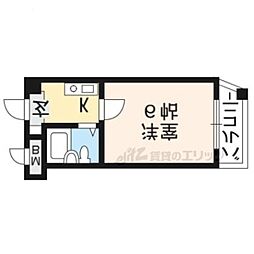 サンク・ブランシュ 203