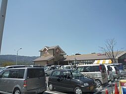 長岡京市西の京の一戸建て
