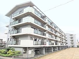 アーチスト島田 413