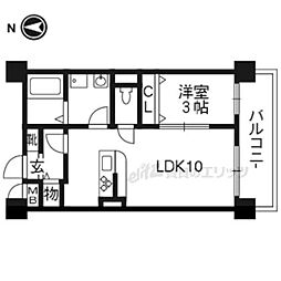 セントラルコート