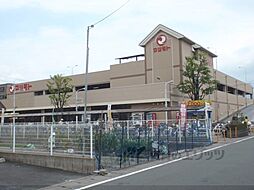 ビューハイツ桂 102
