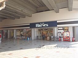 ブライトコート宇治 207
