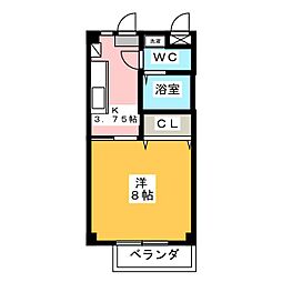 AKKパオ 303
