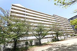 シティコーポ鴫野２号棟 ２０５号室
