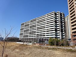 レーベン研究学園NEXIO 511号室