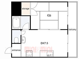 アクシスカナエI 902