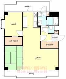 ベルトゥリー若草 205