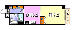 プエンテ21 305