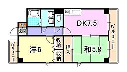 ライブコート清元 402