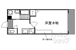 フラッティワレア 205