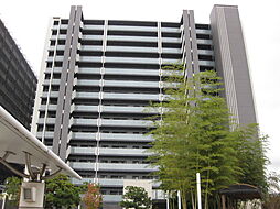 シャルマンフジスマート日根野駅前 1001