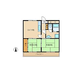 ルミエール立花 501