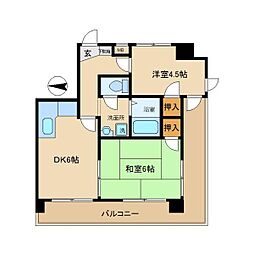 アルフェッカ 801