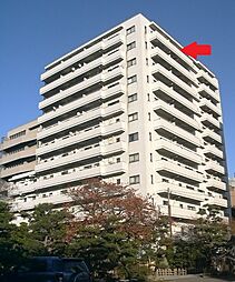 ホワイトプラザ西堀