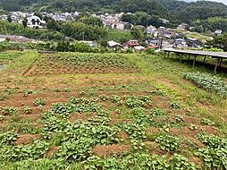 厚木市愛名の土地