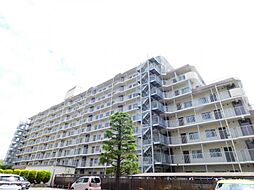 成田中央公園スカイハイツ　B棟