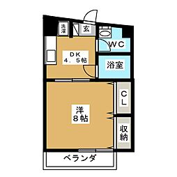 コレクションズＴ