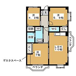 カディス5