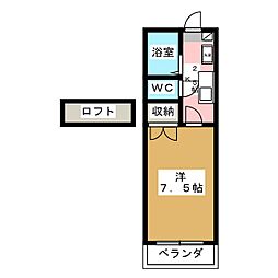 ティエラ定進堂