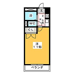 クレオメ