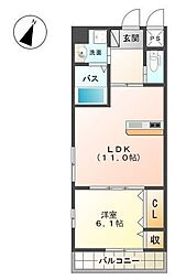 アオイリオーサ