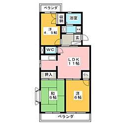 グレイスコート