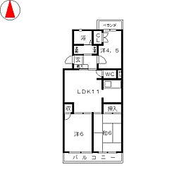 グレイスコート