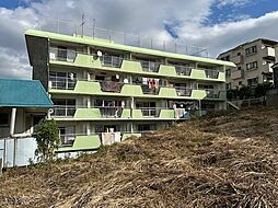 グリーンハイツ 301