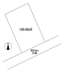 つくば市自由ケ丘　売土地