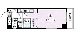 ヤングウッズ